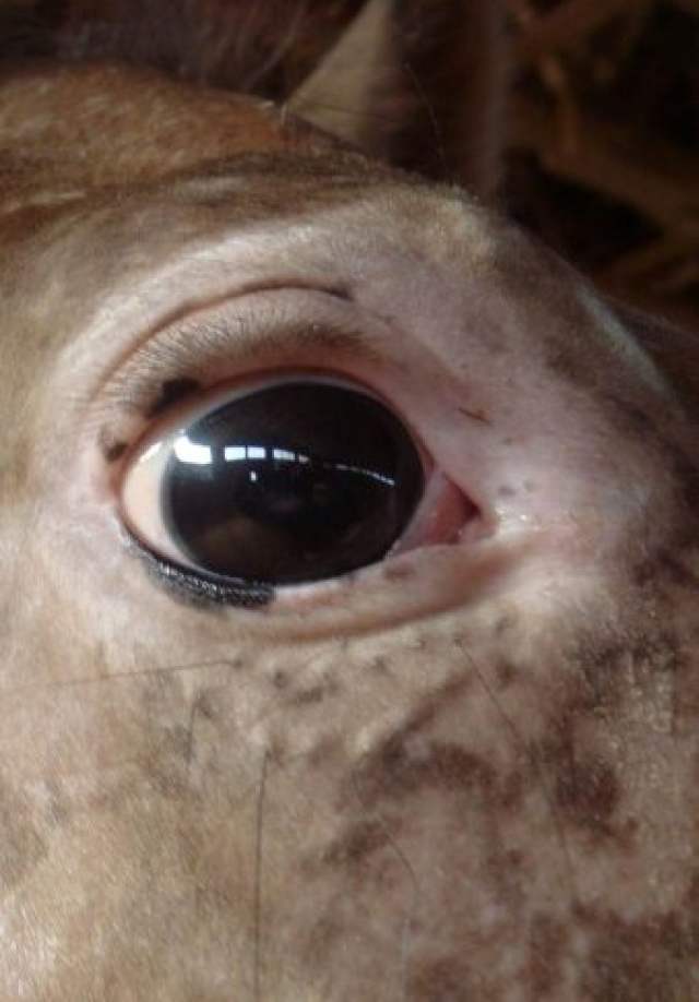 8824_1121753406008_1292263772_30333394_327274_n